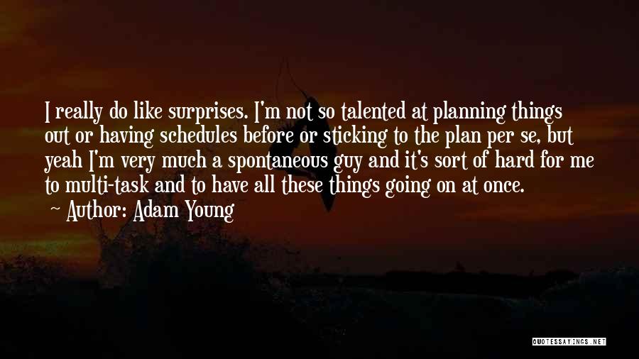 Sticking To A Plan Quotes By Adam Young