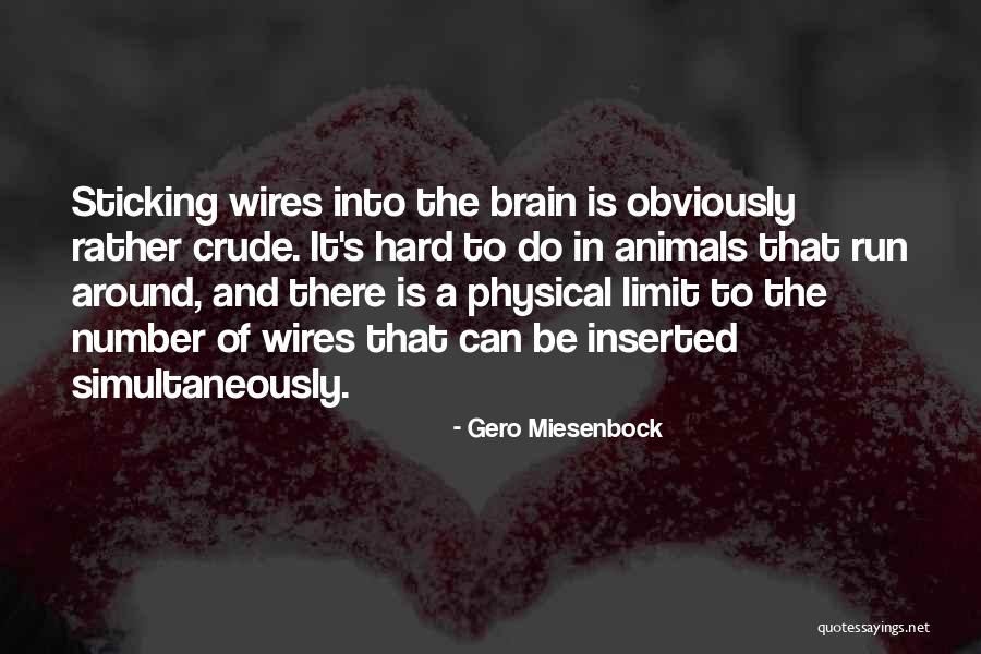 Sticking To It Quotes By Gero Miesenbock Sticking To It Quotes By Gero Miesenbock