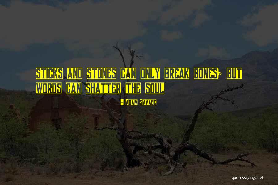 Sticks And Stones Quotes By Adam Savage