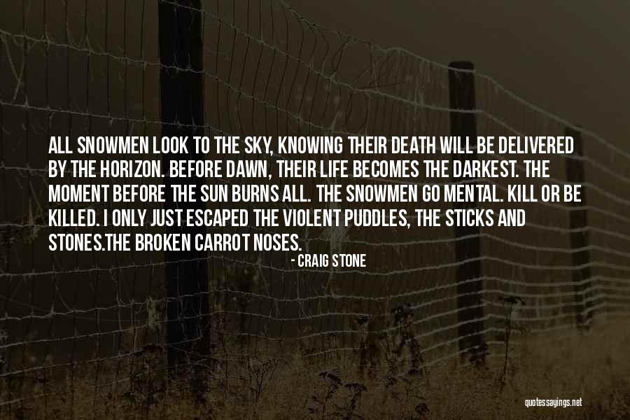 Sticks And Stones Quotes By Craig Stone