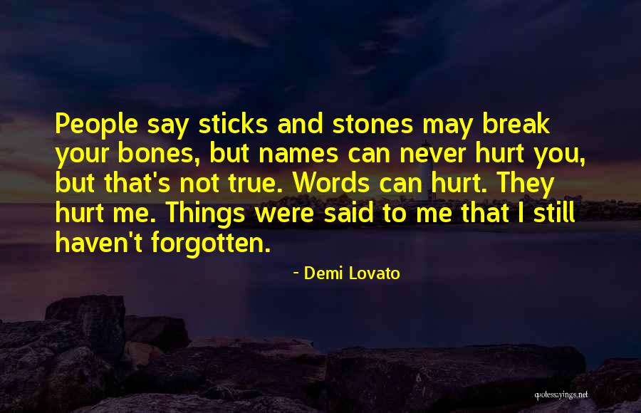 Sticks And Stones Quotes By Demi Lovato