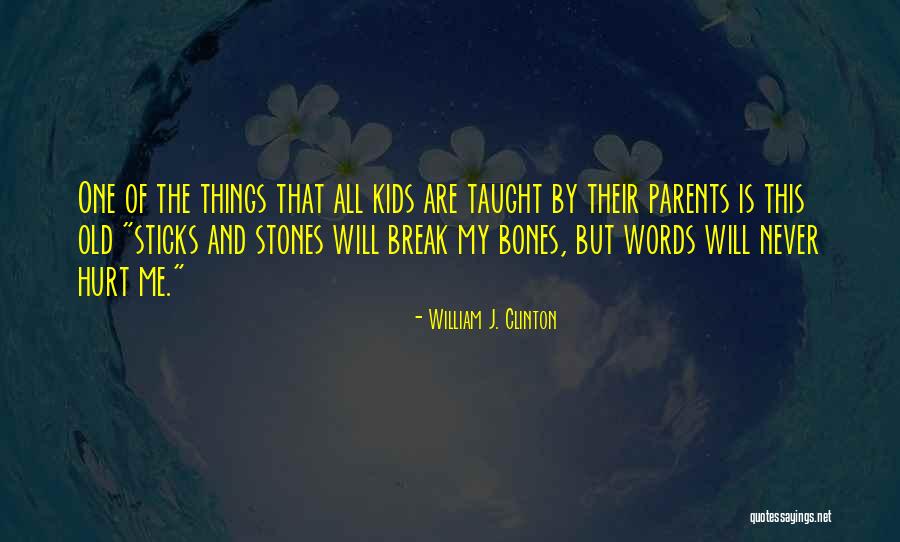 Sticks And Stones Quotes By William J. Clinton