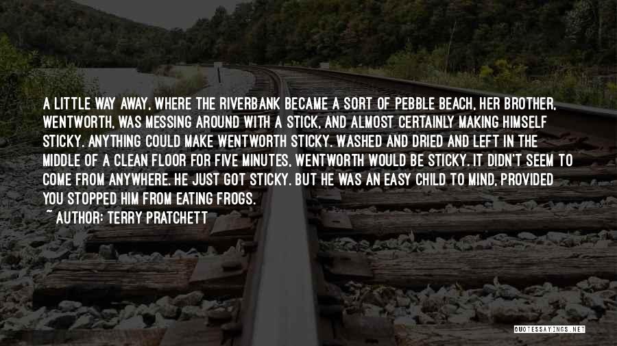 Sticky Quotes By Terry Pratchett