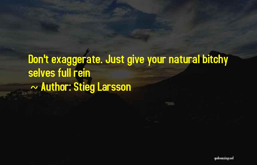 Stieg Larsson Quotes 487007