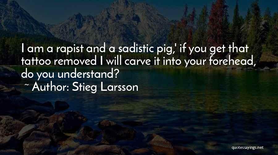 Stieg Larsson Quotes 702690