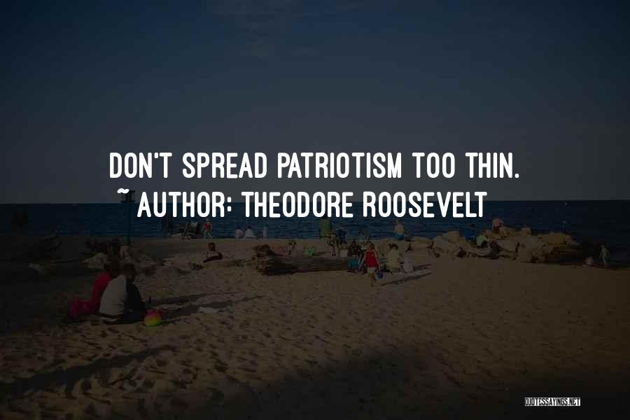 Stiehm Quotes By Theodore Roosevelt