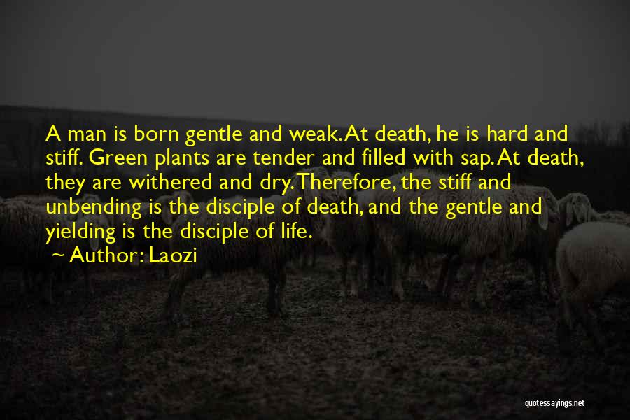 Stiff Man Quotes By Laozi
