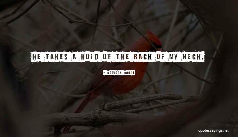 Stiften Challenge Quotes By Addison Moore Stiften Challenge Quotes By Addison Moore