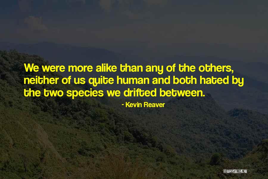 Stifter Mowing Quotes By Kevin Reaver Stifter Mowing Quotes By Kevin Reaver