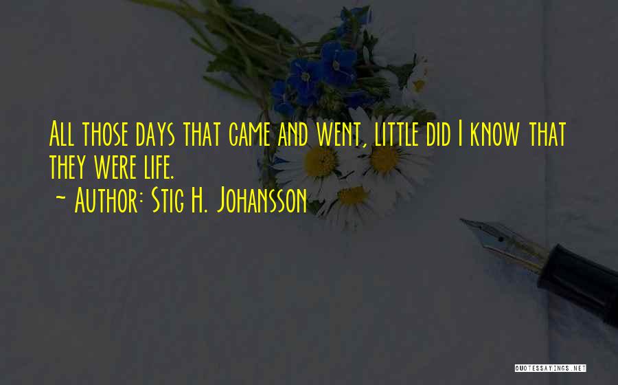 Stig H. Johansson Quotes 2215138