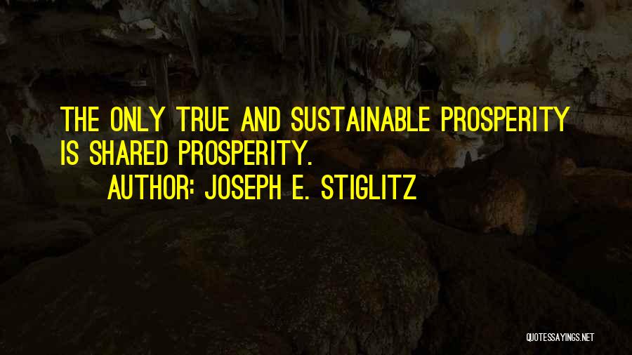 Stiglitz Quotes By Joseph E. Stiglitz