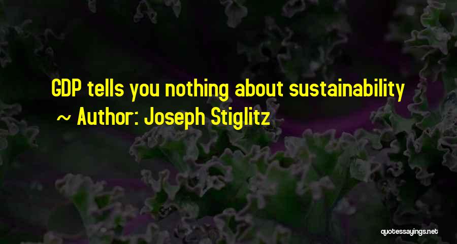 Stiglitz Quotes By Joseph Stiglitz