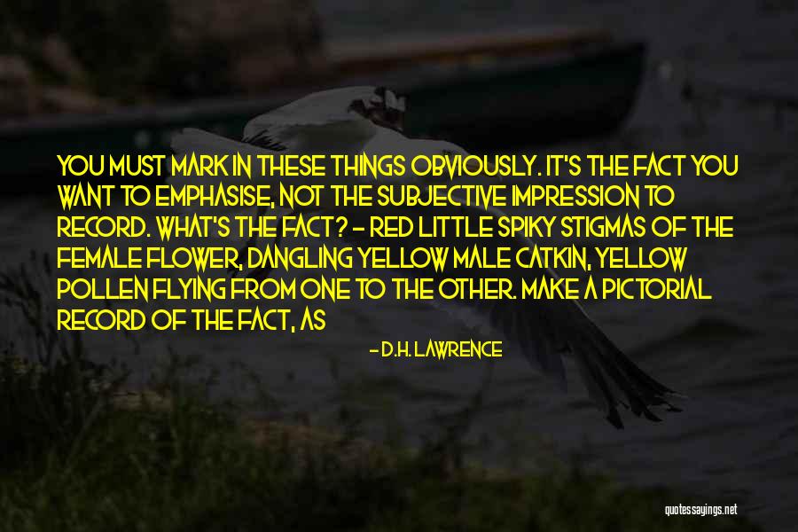 Stigmas Quotes By D.H. Lawrence