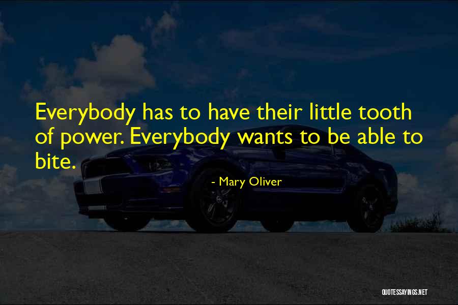 Stijn Van Quotes By Mary Oliver Stijn Van Quotes By Mary Oliver