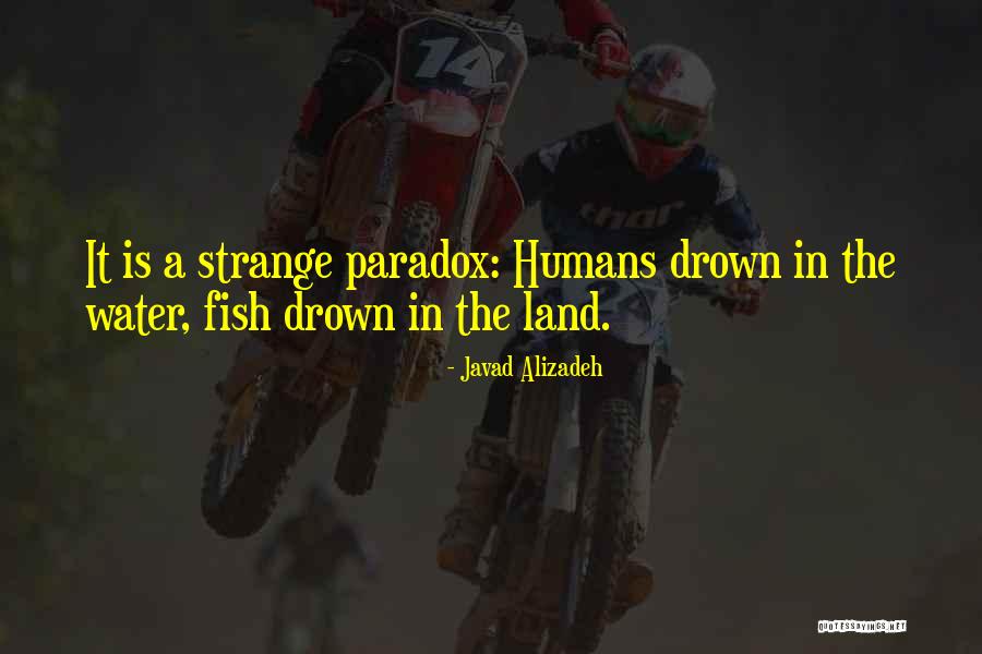 Stikker Muslim Quotes By Javad Alizadeh Stikker Muslim Quotes By Javad Alizadeh