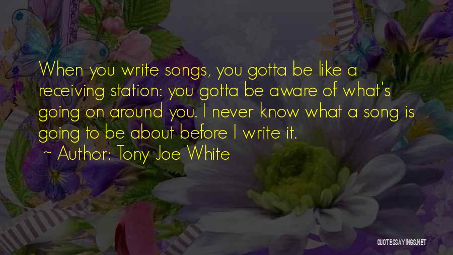 Stiler Igor Quotes By Tony Joe White