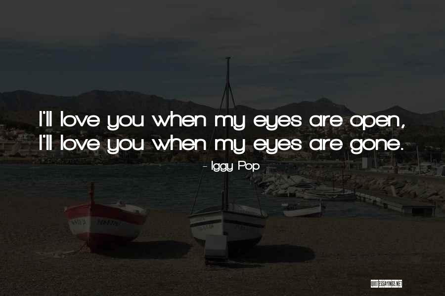 Stiles Namestaj Novi Sad Quotes By Iggy Pop Stiles Namestaj Novi Sad Quotes By Iggy Pop