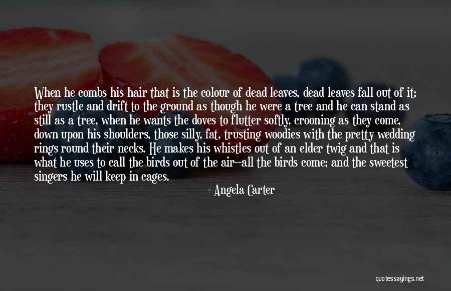 Still Angela Quotes By Angela Carter