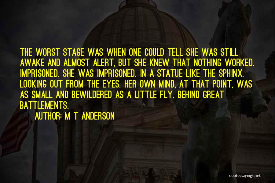 Still Awake Quotes By M T Anderson