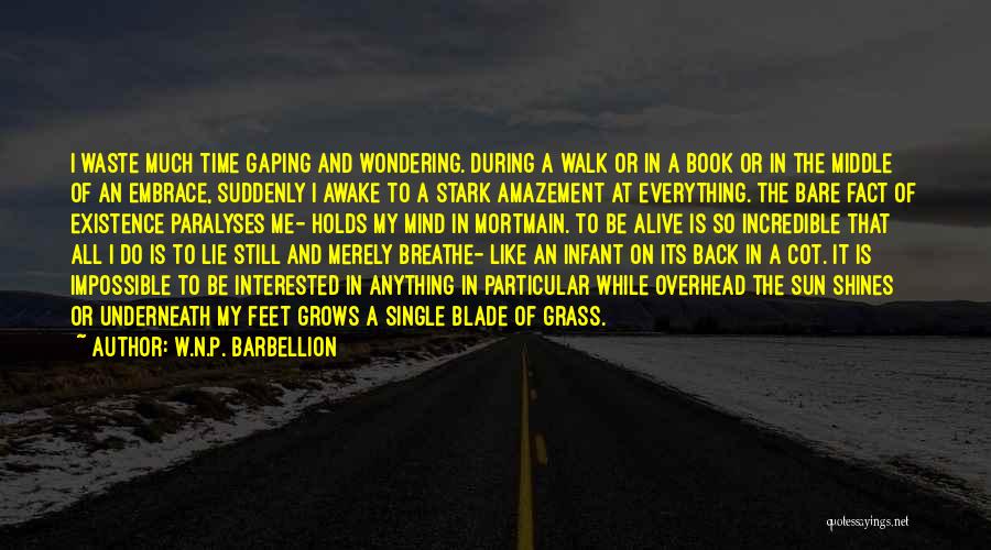 Still Awake Quotes By W.N.P. Barbellion