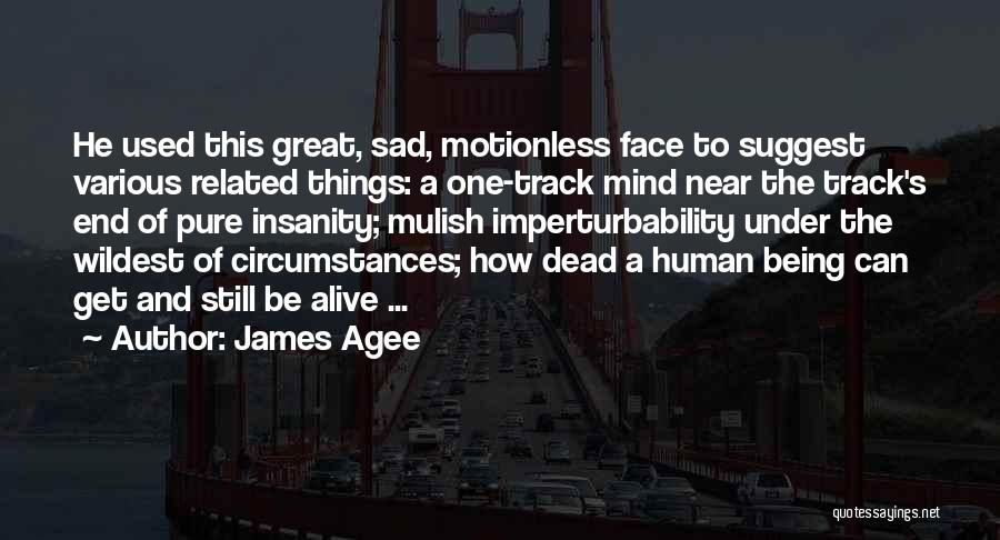 Still Being Alive Quotes By James Agee