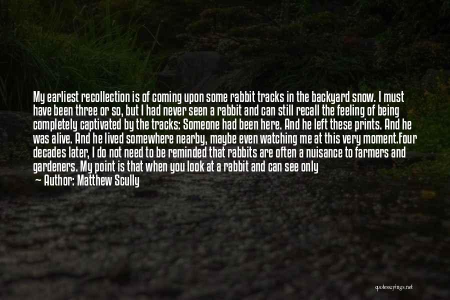 Still Being Alive Quotes By Matthew Scully