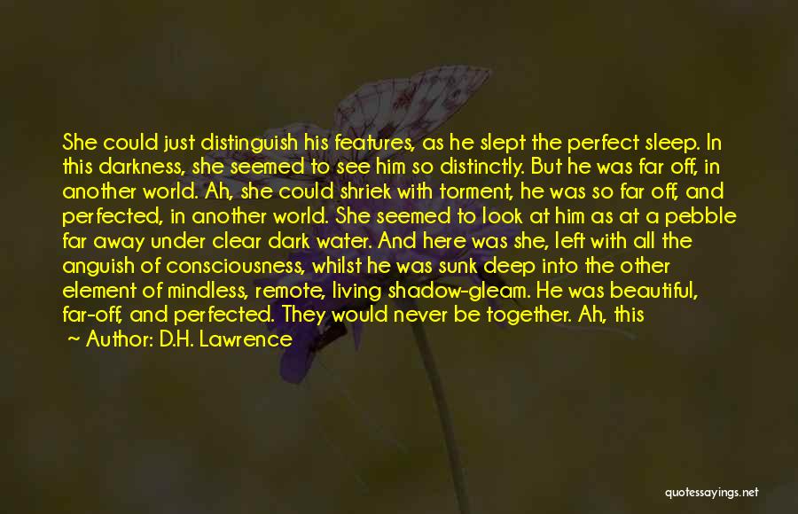Still Being Together Quotes By D.H. Lawrence