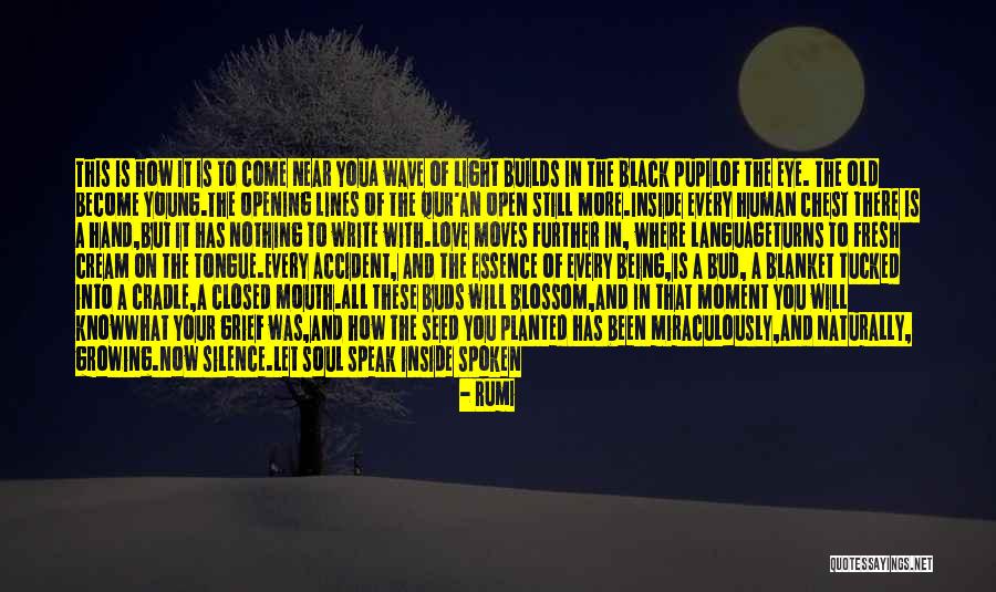 Still Being Young Quotes By Rumi Still Being Young Quotes By Rumi