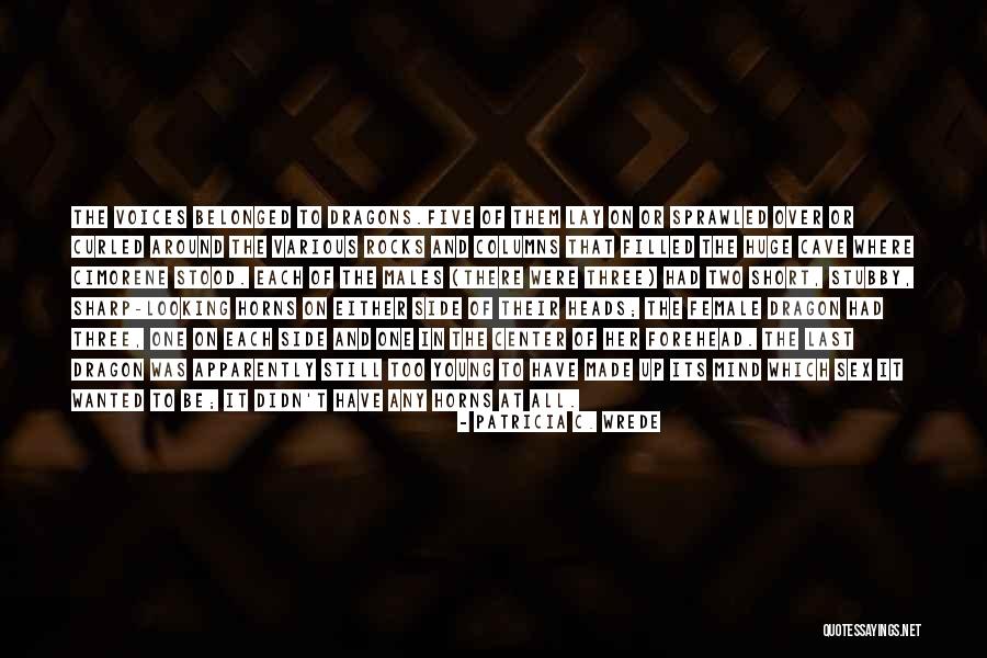 Still Dragon Quotes By Patricia C. Wrede Still Dragon Quotes By Patricia C. Wrede