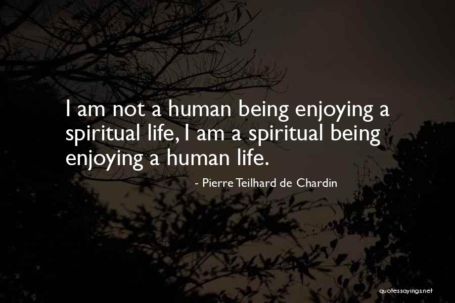 Still Enjoying Life Quotes By Pierre Teilhard De Chardin