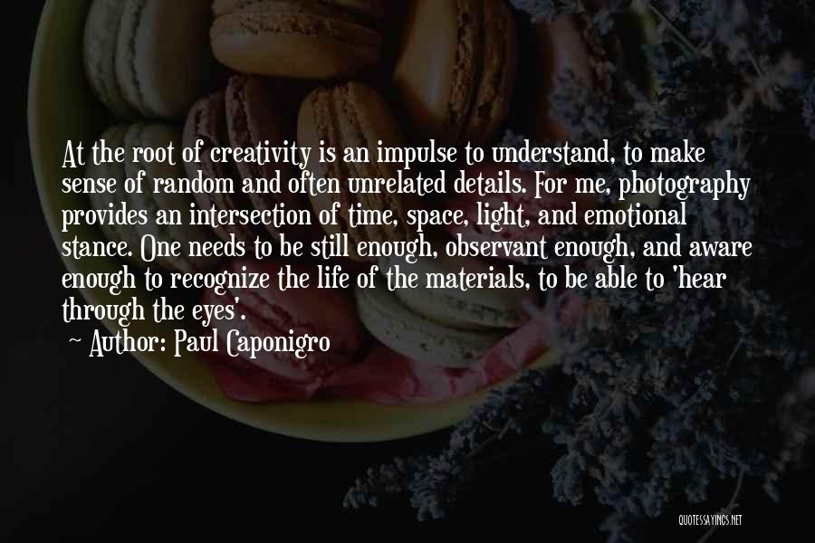 Still Life Photography Quotes By Paul Caponigro