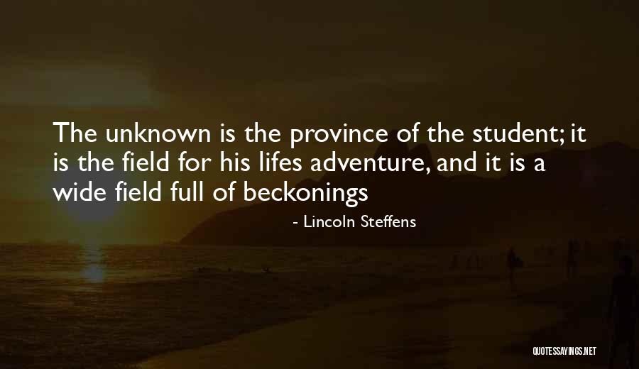 Still Lifes Quotes By Lincoln Steffens Still Lifes Quotes By Lincoln Steffens