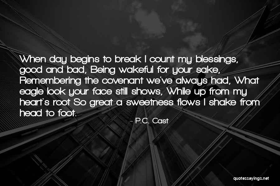 Still Look Good Quotes By P.C. Cast