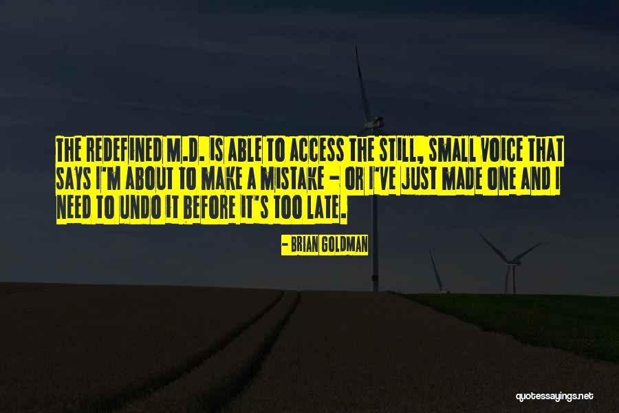 Still Small Voice Quotes By Brian Goldman Still Small Voice Quotes By Brian Goldman