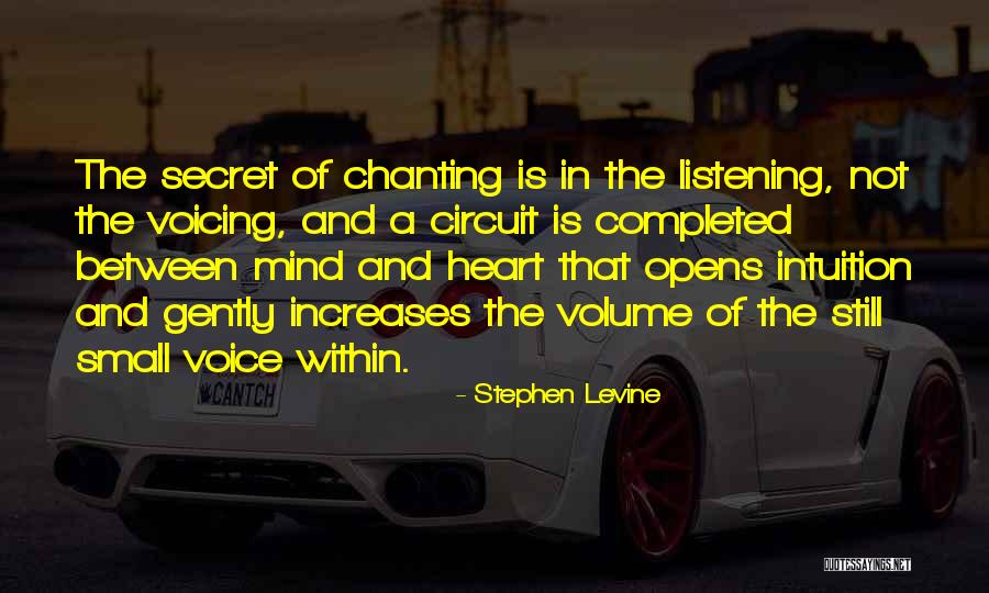 Still Small Voice Quotes By Stephen Levine Still Small Voice Quotes By Stephen Levine