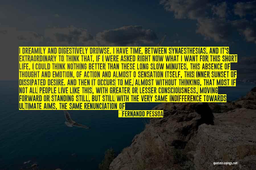 Still Standing Quotes By Fernando Pessoa