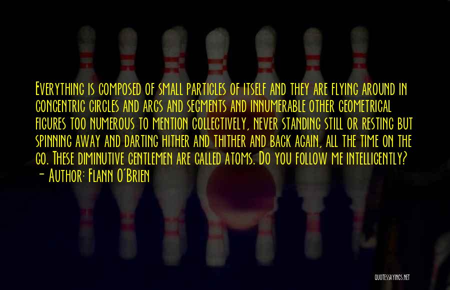 Still Standing Quotes By Flann O'Brien