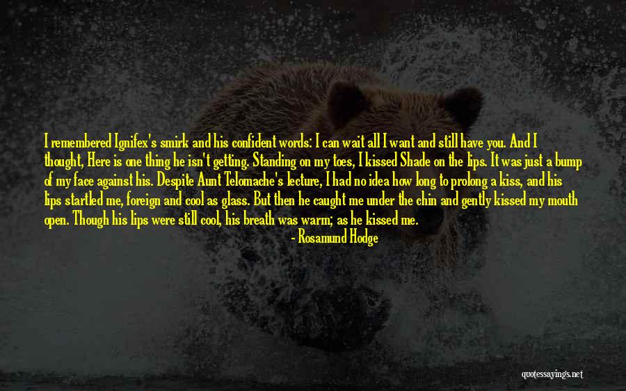 Still Standing Quotes By Rosamund Hodge Still Standing Quotes By Rosamund Hodge