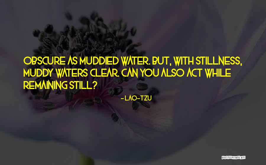 Still Water Quotes By Lao-Tzu