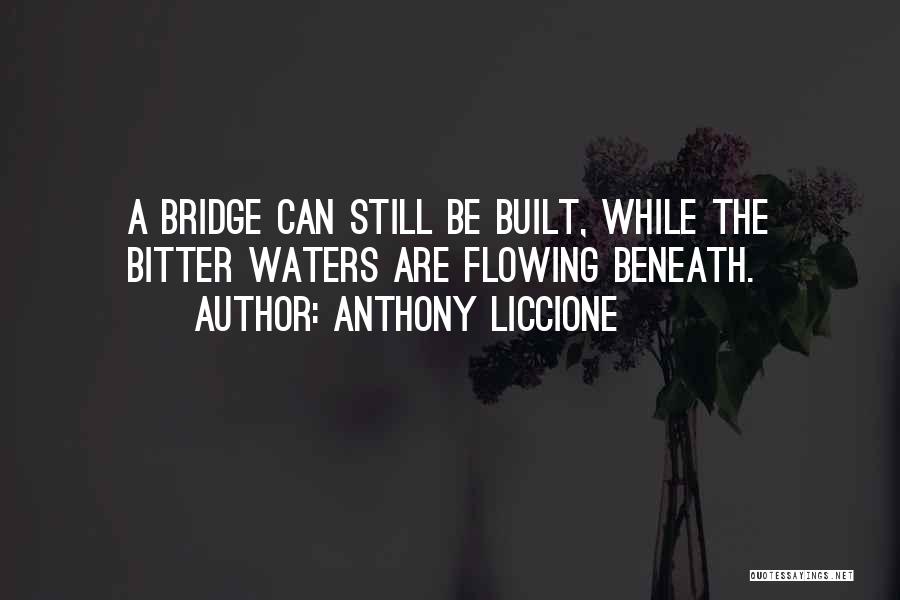 Still Waters Quotes By Anthony Liccione