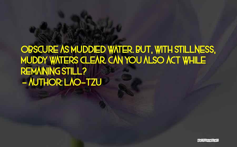 Still Waters Quotes By Lao-Tzu