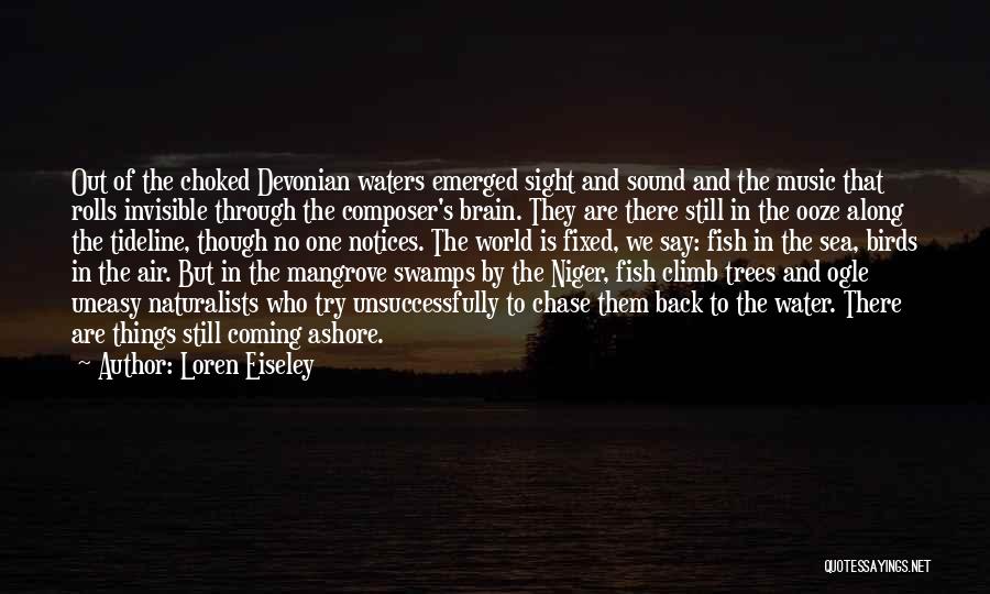 Still Waters Quotes By Loren Eiseley