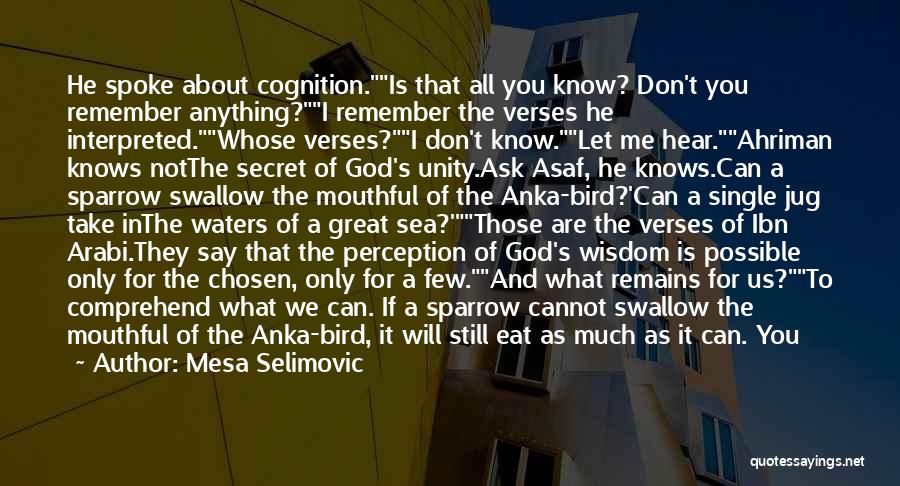 Still Waters Quotes By Mesa Selimovic