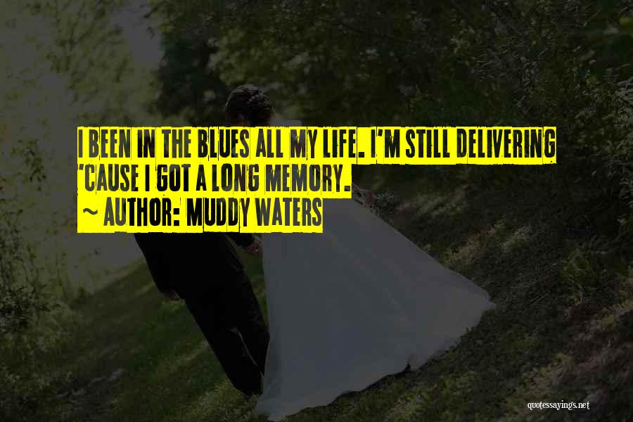 Still Waters Quotes By Muddy Waters