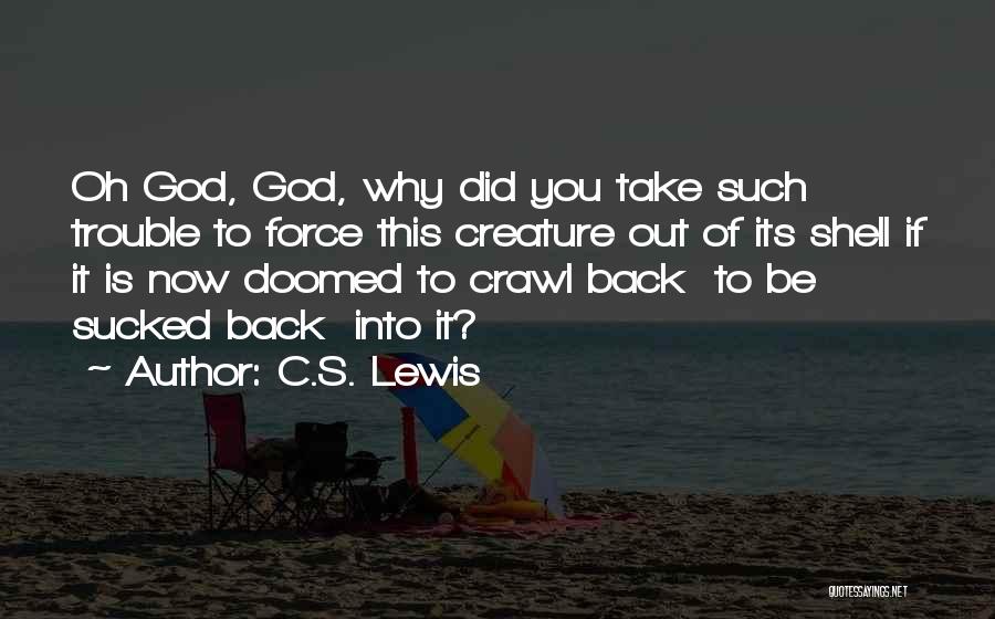Stillbirth Loss Quotes By C.S. Lewis