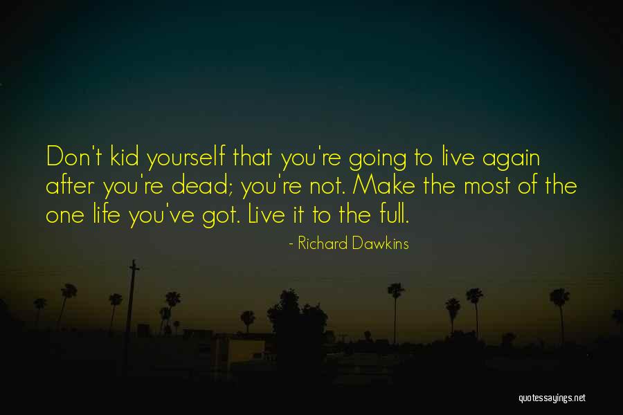 Stillerman Sociology Quotes By Richard Dawkins Stillerman Sociology Quotes By Richard Dawkins