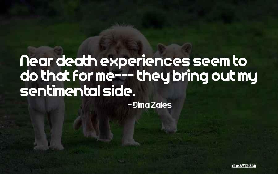 Stillmans Greenhouse Quotes By Dima Zales