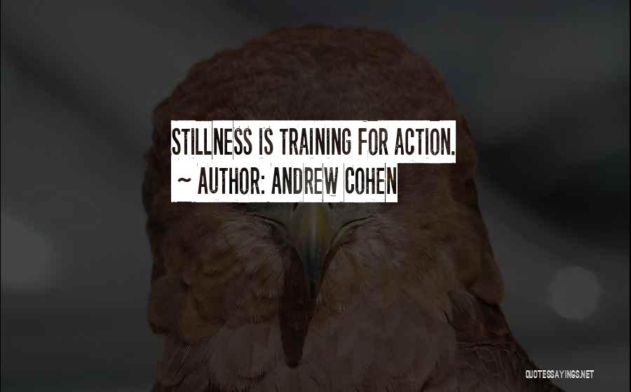 Stillness And Action Quotes By Andrew Cohen