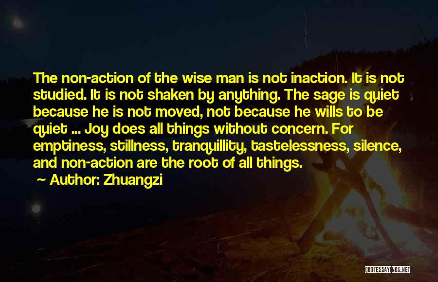 Stillness And Action Quotes By Zhuangzi