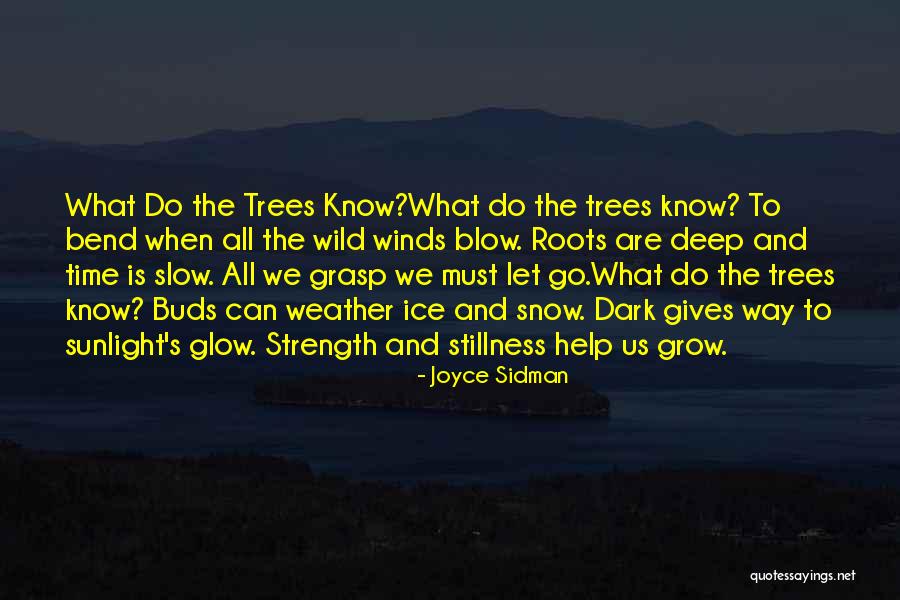 Stillness And Nature Quotes By Joyce Sidman Stillness And Nature Quotes By Joyce Sidman